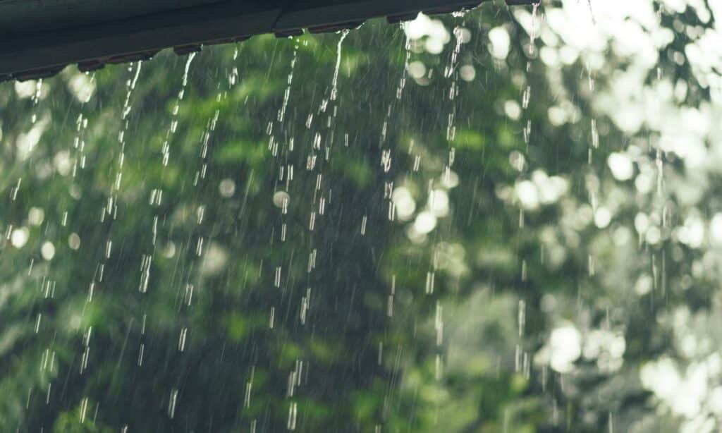 stormwater-lauxes-management-solutions
